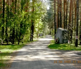 „Czarna droga”, prowadząca w głąb bykowniańskiego lasu