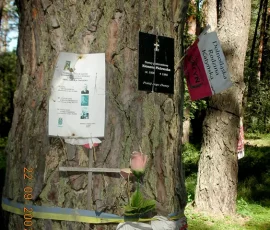 Indywidualne upamiętnienia ofiar ukraińskich i polskich