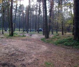 Masowe groby, wytyczone przez polskich archeologów