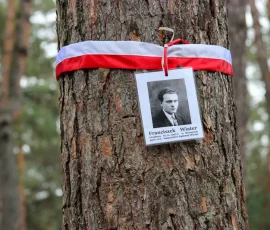 Tabliczki na drzewach