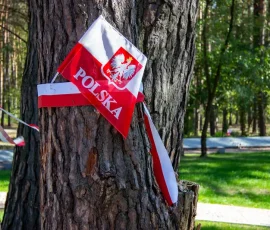 Tabliczki na drzewach